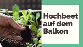 Hochbeet auf dem Balkon 10 Dinge die Sie beachten müssen [upl. by Yebba266]