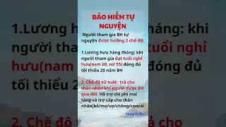 QUYỀN LỢI BẢO HIỂM TỰ NGUYỆN  Thủy Triều  Thuytrieubhxh [upl. by Bay360]