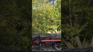 Woodmizer Lifting a Log woodmizer sawmill hydraulic [upl. by Aidnyl]