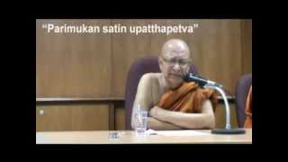 SATIPATTHANA  Ven Dr M Punnaji [upl. by Terrena]