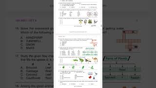 Class 2 nso paper class2nsopaper nso sofolympiad [upl. by Lanna]