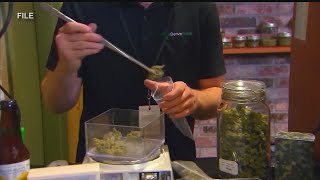 Yes or no Inside Ohios upcoming marijuana legalization vote [upl. by Agn]