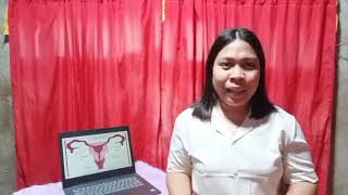 The Female Reproductive System Grade 5 Teaching Demonstration [upl. by Nate]