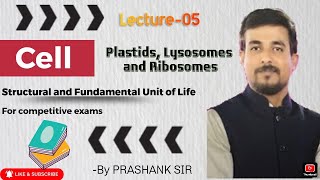 PLASTIDS LISOSOMES AND RIBOSOMES [upl. by Roberta]