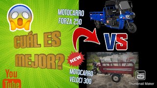 MOTOCARRO VELOCI 300 VS MOTOCARRO FORZA 250Cual es mejor🤔🧐 [upl. by Flemings330]