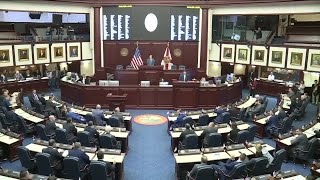 What is next for Florida Republicans [upl. by Randi183]