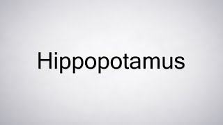 How to Pronounce Hippopotamus [upl. by Lettie]