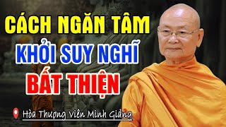 Phương Pháp Diệt Trừ TÂM BẤT THIỆN Để Chiến Đấu Với Phiền Não Khổ Đau  Hòa Thượng Viên Minh [upl. by Nnil]