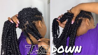 Passion Twist Takedown  Tips On Maintenance  How To Remove Passion Twist  Kinzey Rae [upl. by Amari]