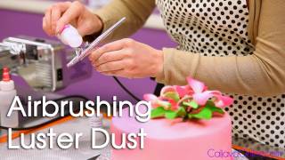 How to Use Luster Dust with an Air Brush on a Cake [upl. by Iny52]