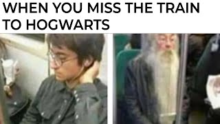 Harry Potter Memes [upl. by Ahtanaram2]