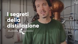 Distillati Capovilla Bassano del Grappa  i segreti della distillazione [upl. by Alcinia]