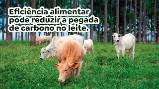 Eficiência alimentar pode reduzir a pegada de carbono no leite [upl. by Eecal251]