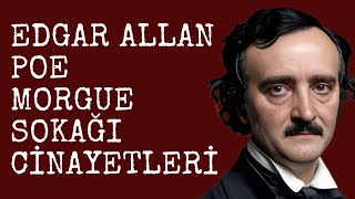 Edgar Allan Poe  Morgue Sokağı Cinayetleri  Sesli Kitap Dinle  Seslendiren  Sanem Şahin [upl. by Moshe]