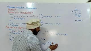 Ammonia derivative reactions  hydroxylamine amp hydrazine with carbonyl compound  12th class ch12 [upl. by Enilarak279]