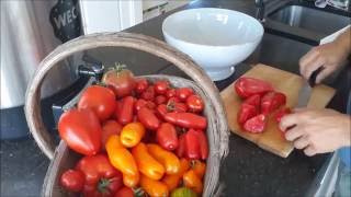 hoe passata  of tomatensaus zelf maken [upl. by Batory943]