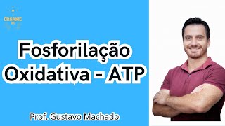 Produzindo ATP O Papel da Fosforilação Oxidativa na Respiração Celular  OrganicBio [upl. by Danyette]