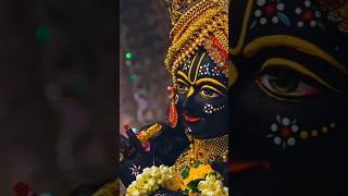 Jai Shree Krishna 🙏🌹🥰 radhakrishna krishnabhajan krishnastatus shorts youtubeshorts [upl. by Laird317]