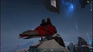 ARK Survival Evolved Day 33 on the Lost Island we need an Argentavis Saddle [upl. by Oiruam332]