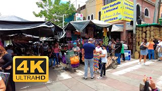 【4K60】Tonalá Tianguis Artesanal Walking Tour [upl. by Neelear]