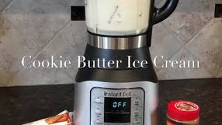 Ice cream using Instant Pot Ace Blender [upl. by Vidovik160]