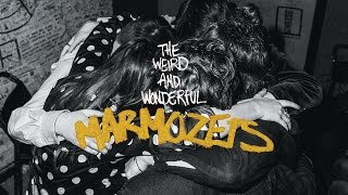 Marmozet  The Weird and Wonderful Marmozets Album Sampler [upl. by Breger259]