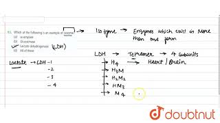 Which of the following is an example of isozyme [upl. by Eivod]