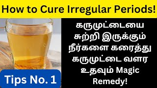 நீர் கட்டி கரைய  how to cure irregular periods naturally tamil  PCOD PCOS  egg growth [upl. by Maloy283]