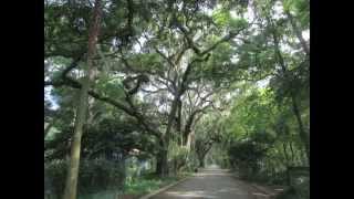 Micanopy Florida [upl. by Coniah63]