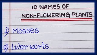 Names of non flowering plants  10 Non flowering plants names  List of non flowering plants [upl. by Airod781]