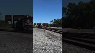 Illinois Central 1000 leads cn train at blue island Illinois [upl. by Rodney]