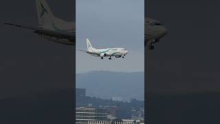 Zurich Airport Switzerland Tailwind Airlines Landing video short viral new live like [upl. by Attehcnoc162]