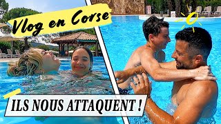 ILS NOUS ATTAQUENT 😂  Vlog en Corse [upl. by Aizan934]