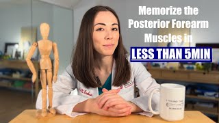 How to Memorize the Posterior Forearm Muscles in less than 5 min  Anatomy Tips  Dr Kumiko [upl. by Ennoryt]