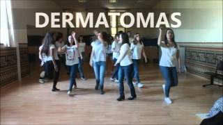 baile dermatomas y miotomas [upl. by Tildie]