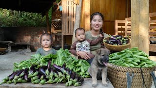 Harvest green vegetables and eggplants to sell at the market  cook with your children [upl. by Ardnekahs626]