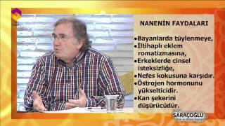 Nanenin Faydaları  DİYANET TV [upl. by Nosyla914]