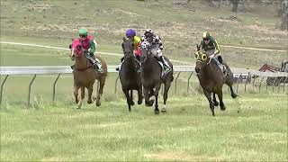 Bombala 19 10 2024 Race 1 [upl. by Initof]