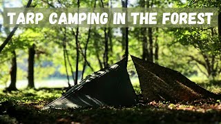 Tarp Camping in The Forest  Simple Tarp Shelter [upl. by Eelah]