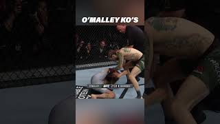 Every Sean OMalley Knockout ufc mma [upl. by Nerhe155]