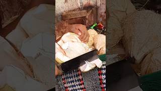 Skillful man peeling coconut very quickly fruit coconut cuttingskils streetfood shorts [upl. by Ahteral230]