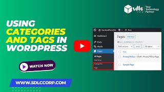 Using Categories and Tags in WordPress [upl. by Eivi]