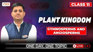 Gymnosperms and Angiosperms  Plant Kingdom  class 11  Biology  One Day One Topic [upl. by Hnim]