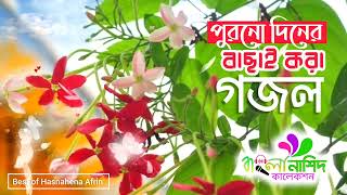 হাসনাহেনার ৮টি পুরনো দিনের বাছাই করা গজল  Best Of Hasnahena Afrin [upl. by Aimar610]