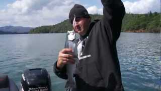 Lake Shasta Trout Tournament Kokanee Power [upl. by Wiltsey]