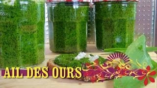 PESTO AIL DES OURS [upl. by Wilt]