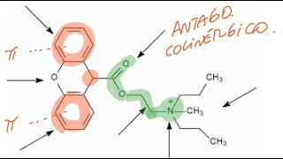 Farmacoquímica del sistema nervioso autónomo Control de Colinérgicos y adrenérgicos [upl. by Odlanir]