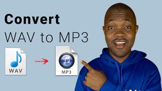 How to Convert WAV to MP3 on Android Free amp Efficient [upl. by Beckie]