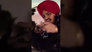 sidhumoosewala justiceforsidhumoosewala sidhumoosewalastatus sidhumoosewala [upl. by Corotto]