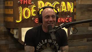 Joe Rogan Experience 1647  Dave Chappelle [upl. by Robillard]